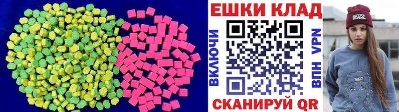 Купить где  Черкесск  Ecstasy Philipp Plein 