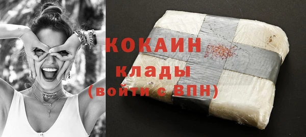 твердый Осинники