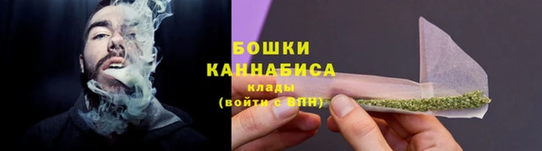 твердый Осинники